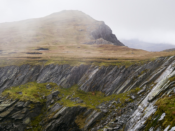 wilderness 