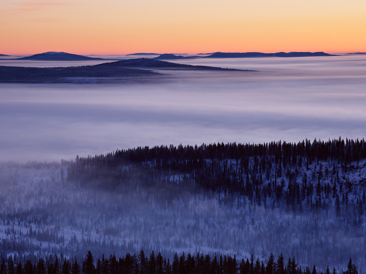 wilderness 