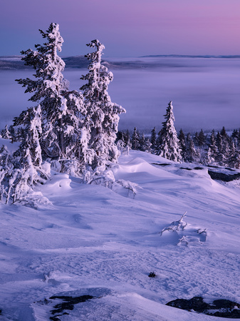 wilderness 