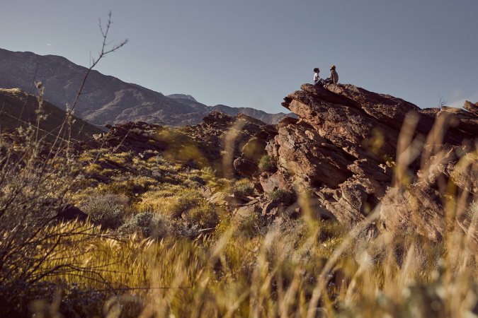 wilderness 