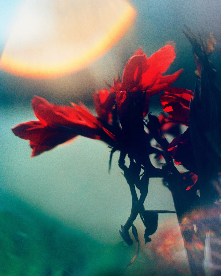 colour 