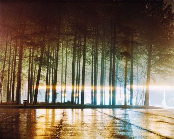wilderness 