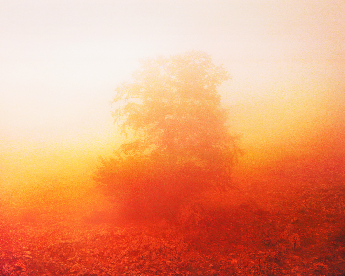 wilderness 
