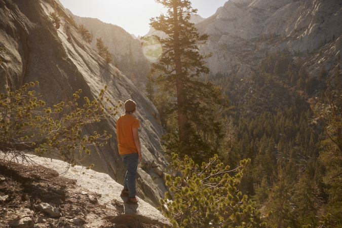 wilderness 