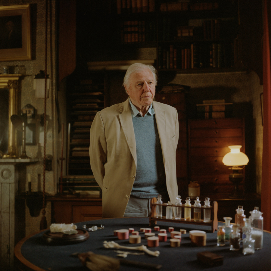 David Attenborough 