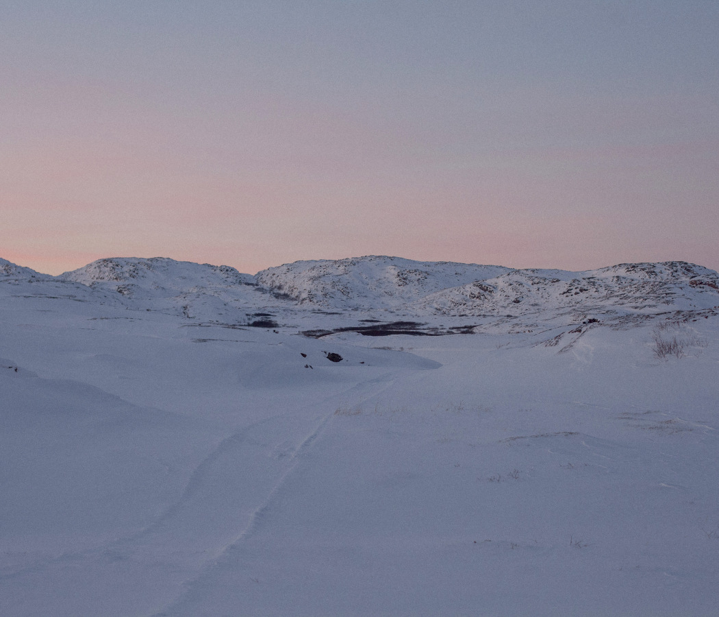 wilderness 