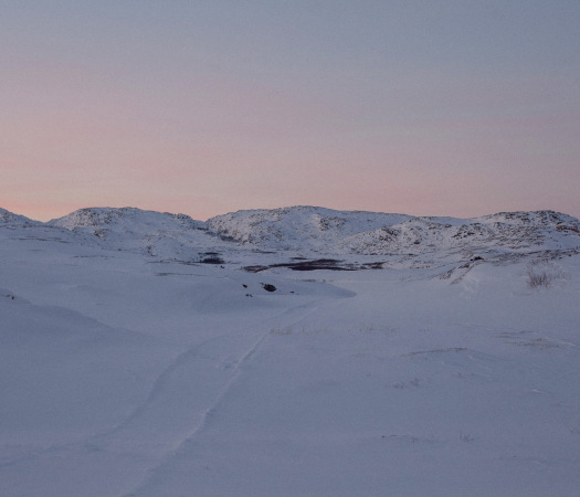 wilderness 