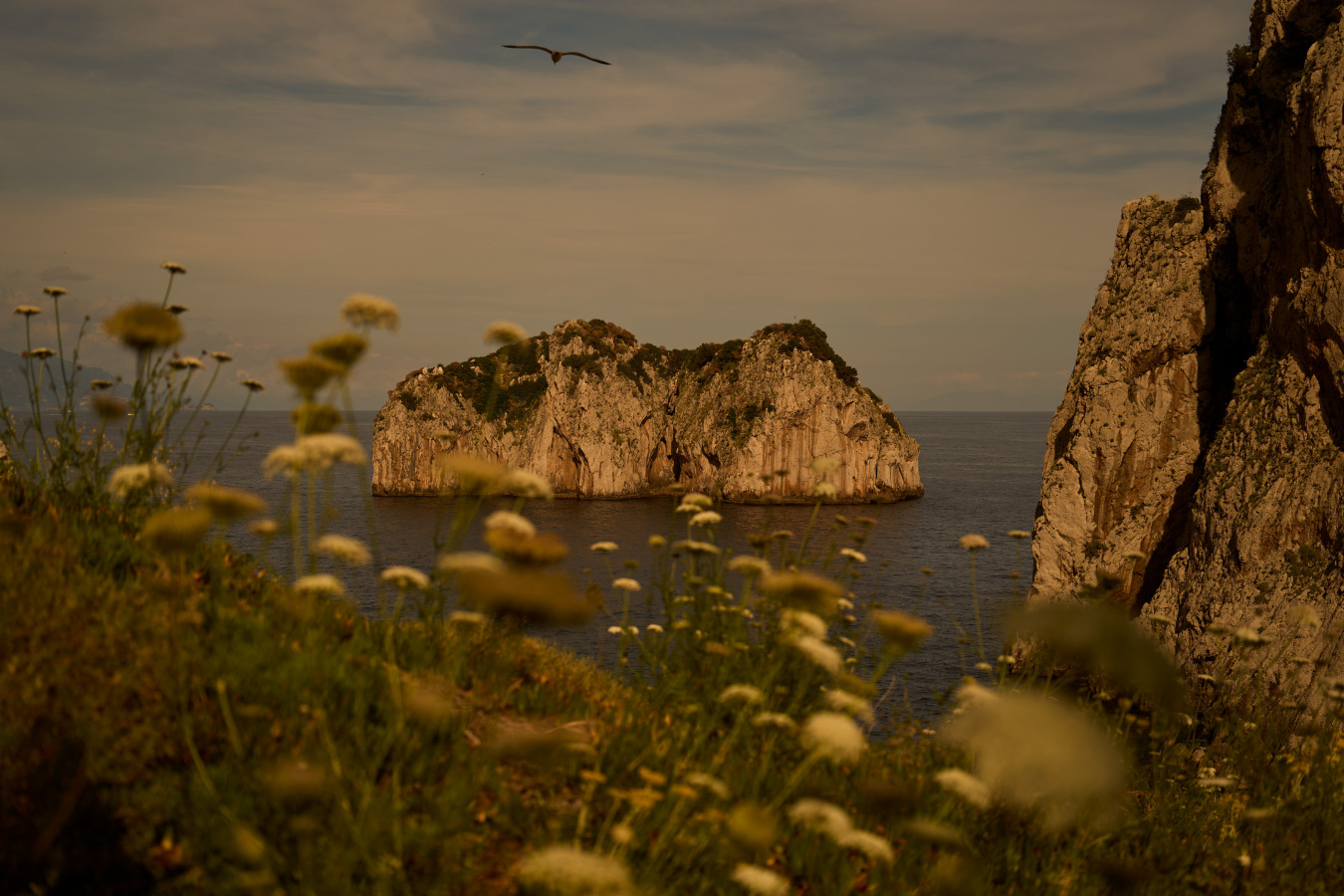wilderness 
