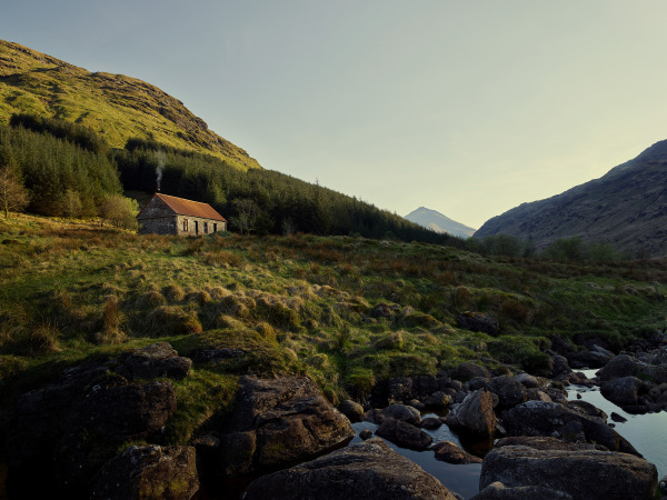 wilderness 