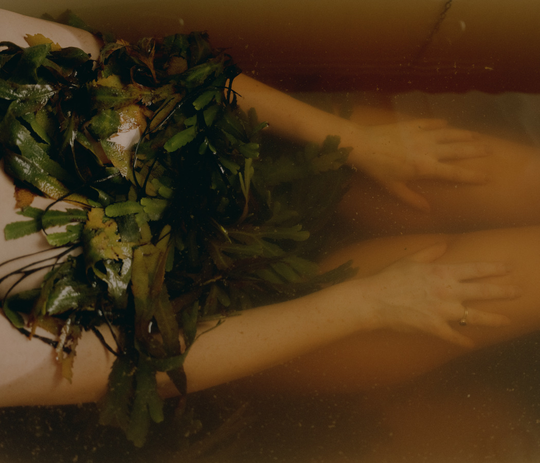 The Washington Post – Seaweed Harvest 
