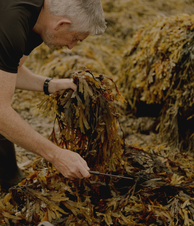 The Washington Post – Seaweed Harvest 