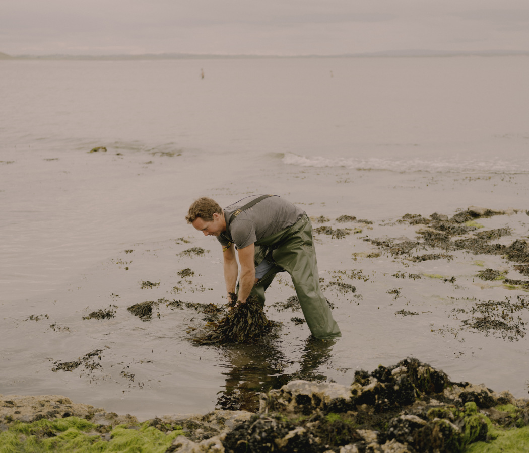 The Washington Post – Seaweed Harvest 