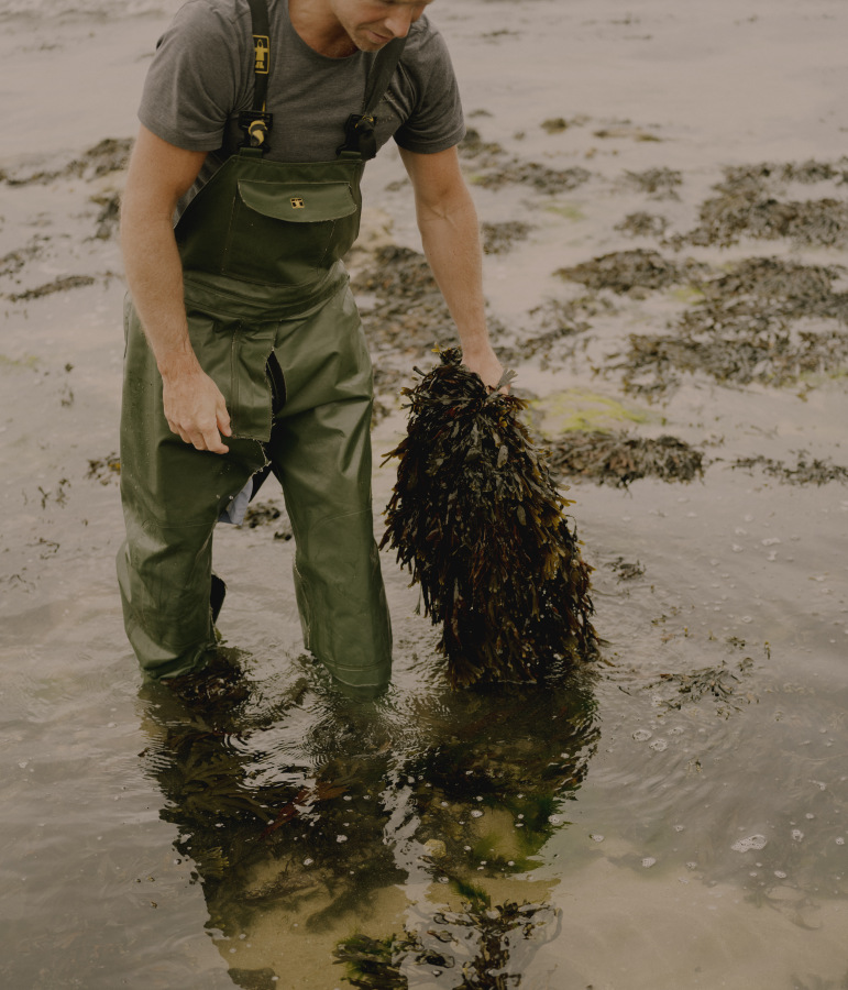 The Washington Post – Seaweed Harvest 