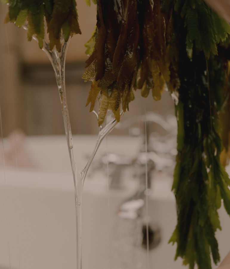 The Washington Post – Seaweed Harvest 