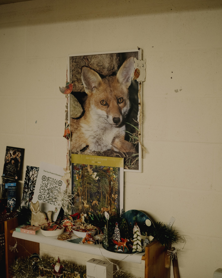 The Fox Project for Libération 