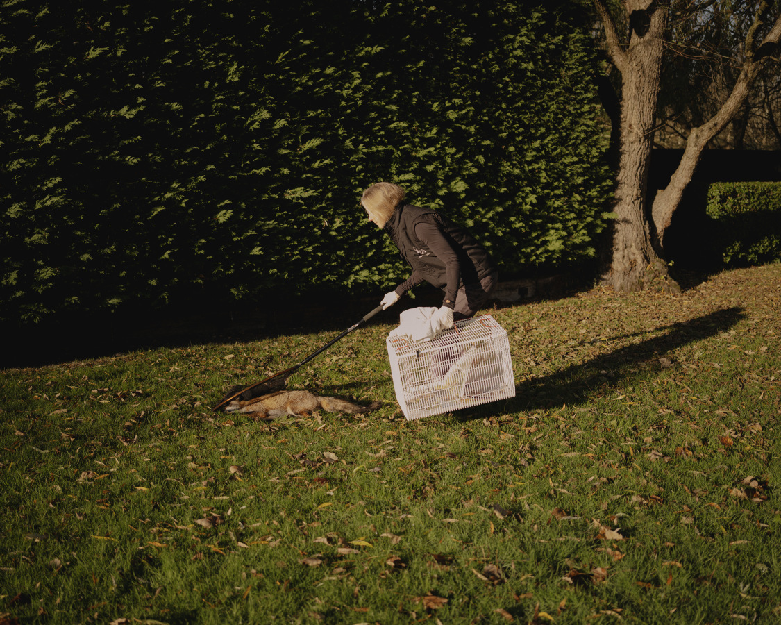 The Fox Project for Libération 