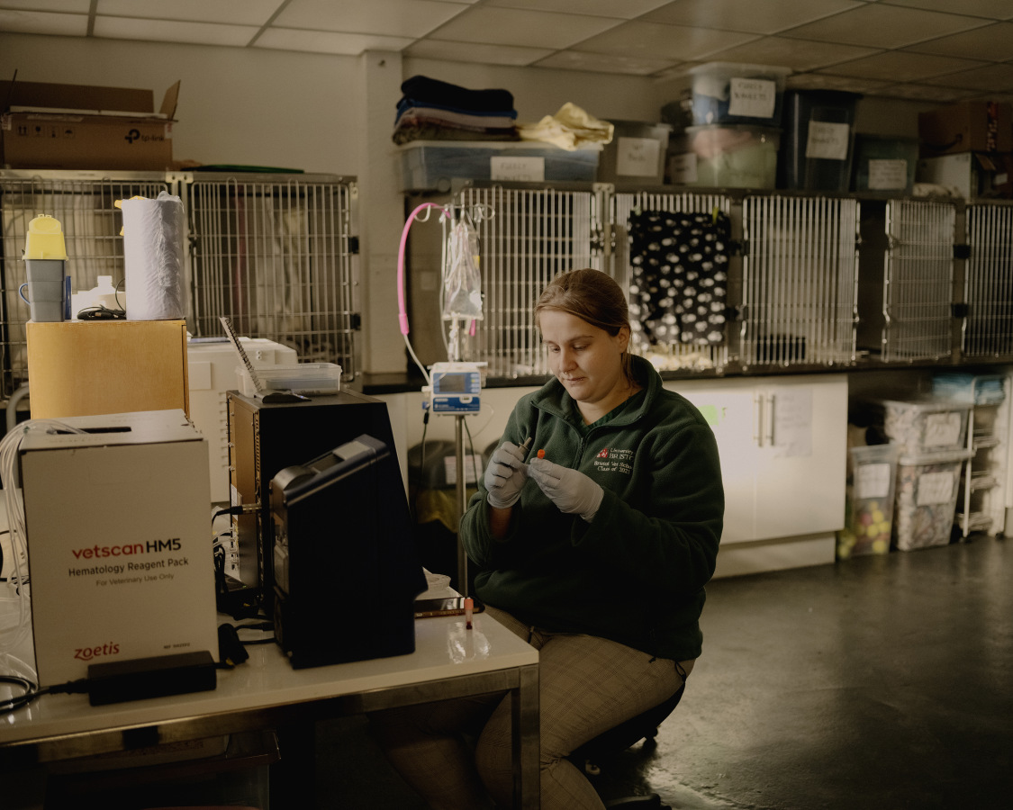 The Fox Project for Libération 