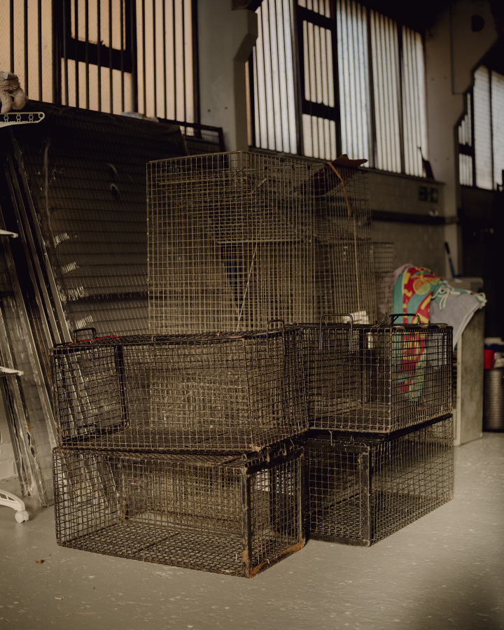 The Fox Project for Libération 