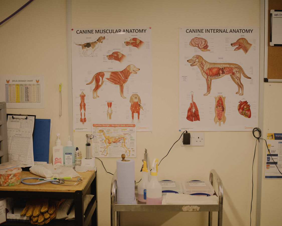 The Fox Project for Libération 