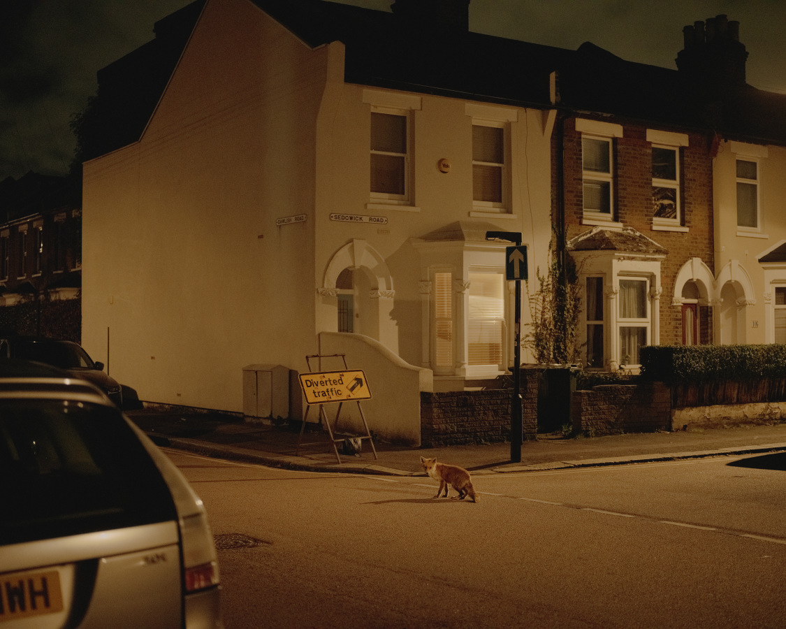 The Fox Project for Libération 