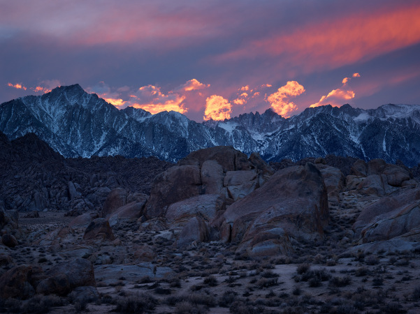 wilderness 