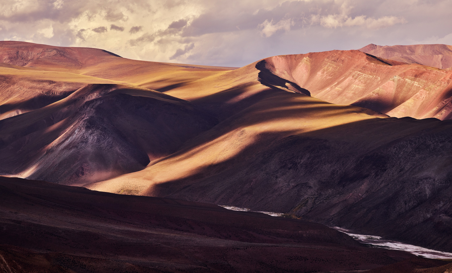 wilderness 
