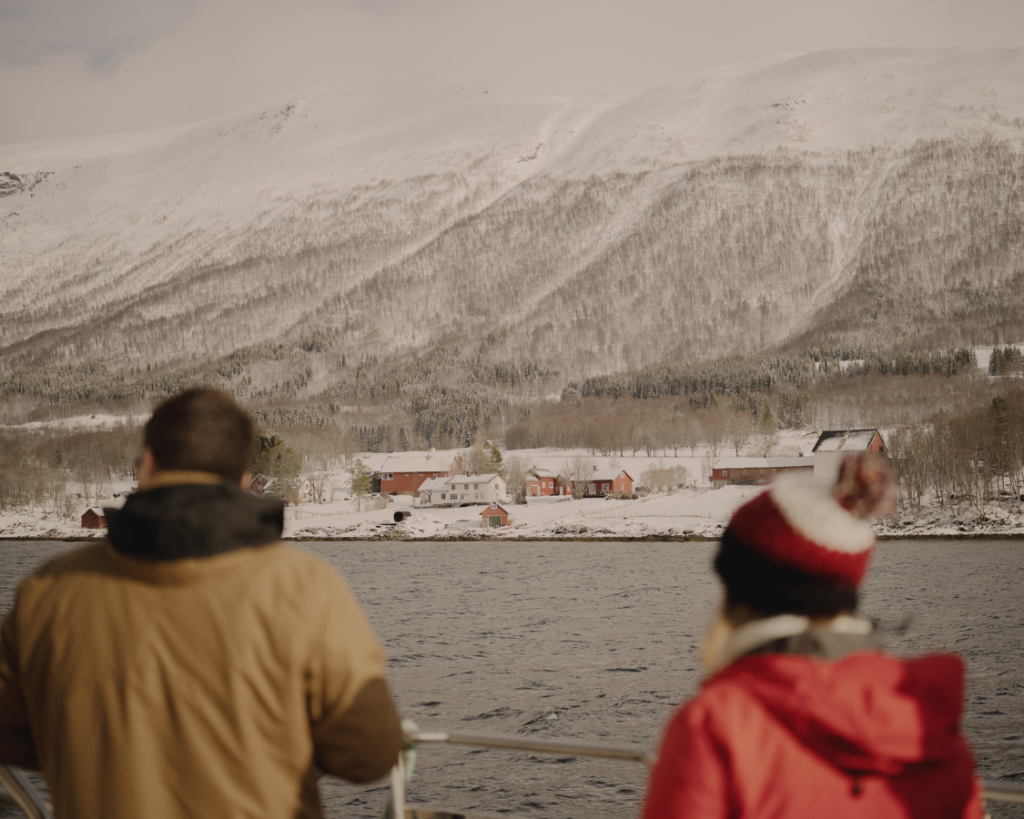 Artic 