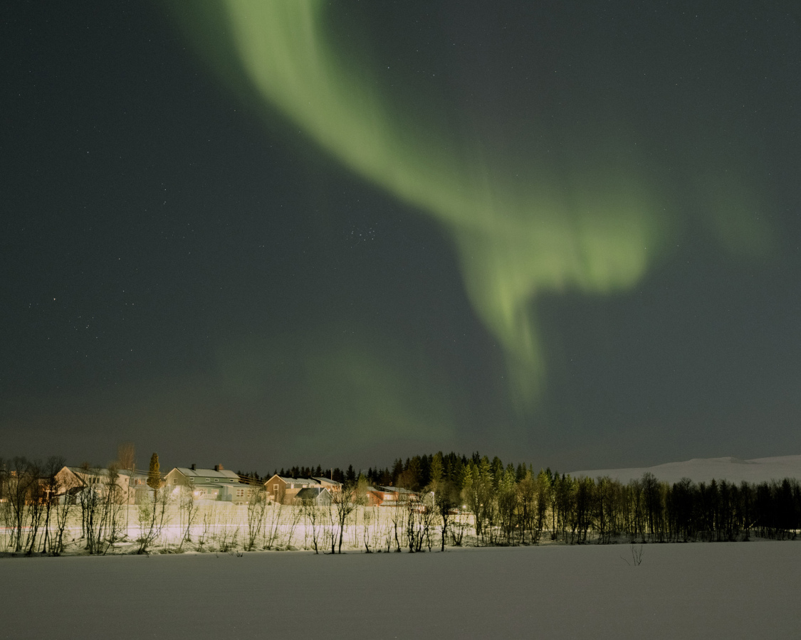 Artic 