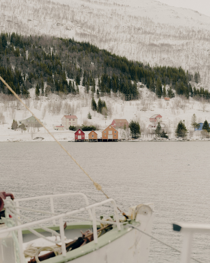 Artic 