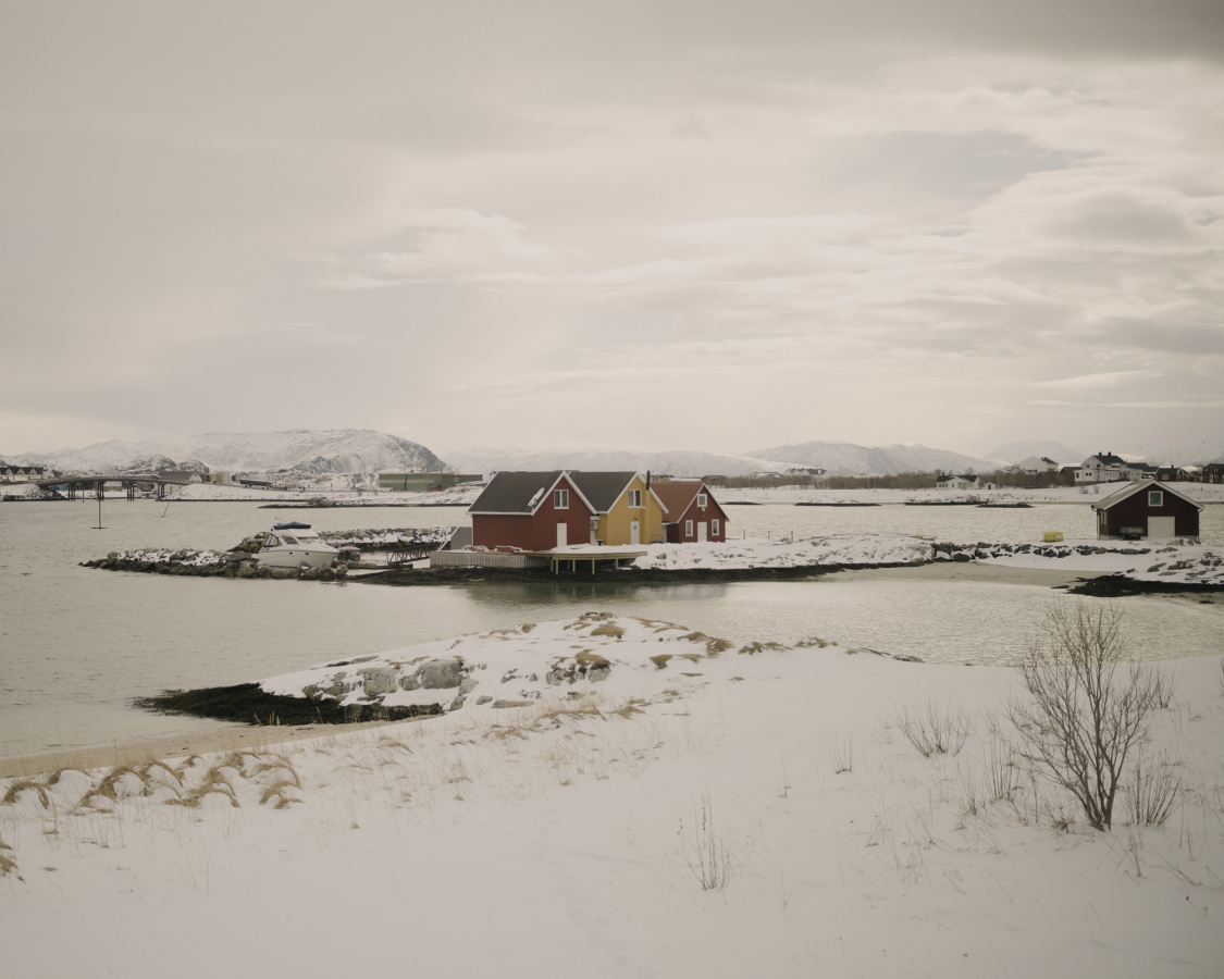 Artic 