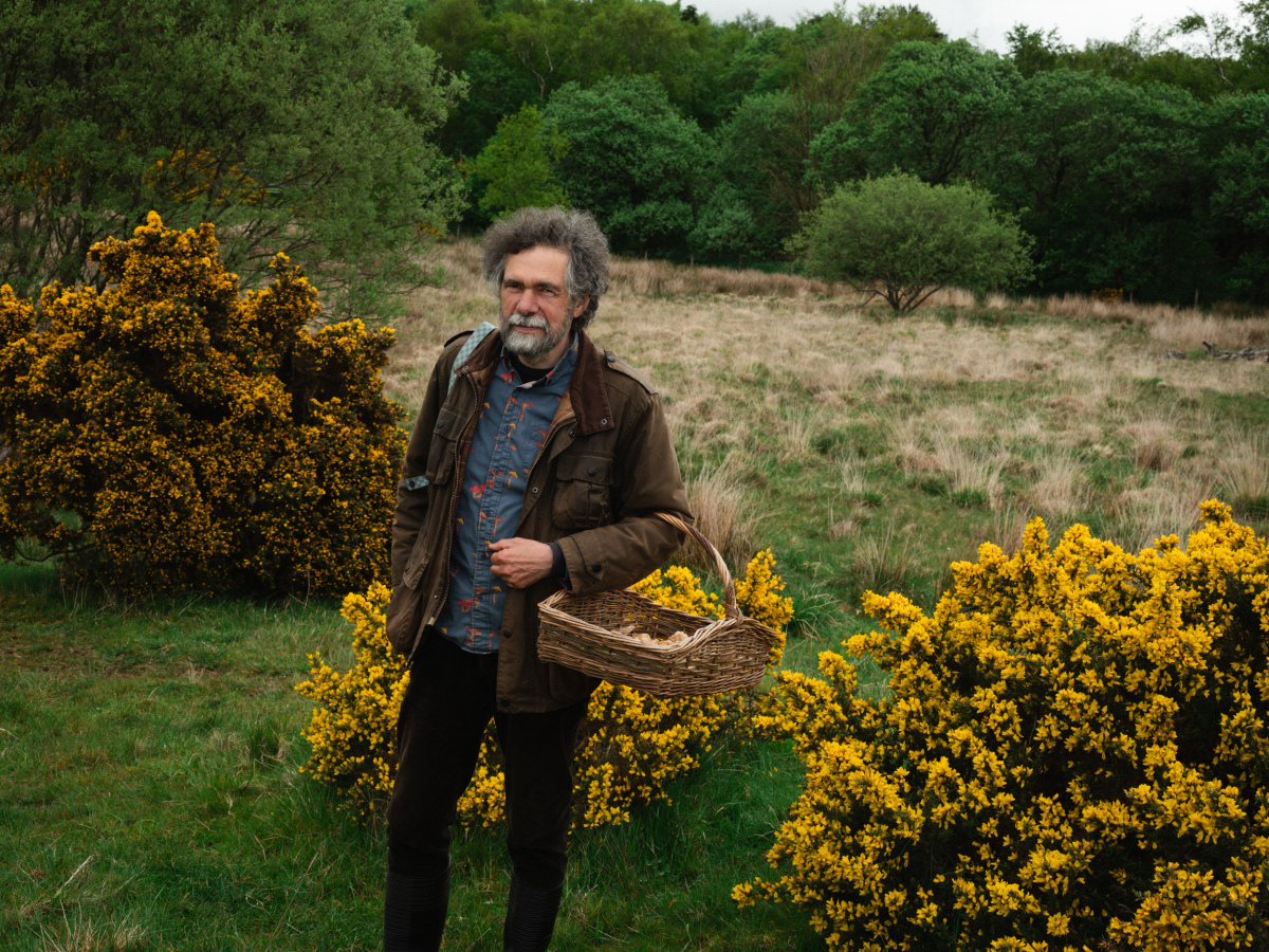 Mo Wilde – The Observer 
