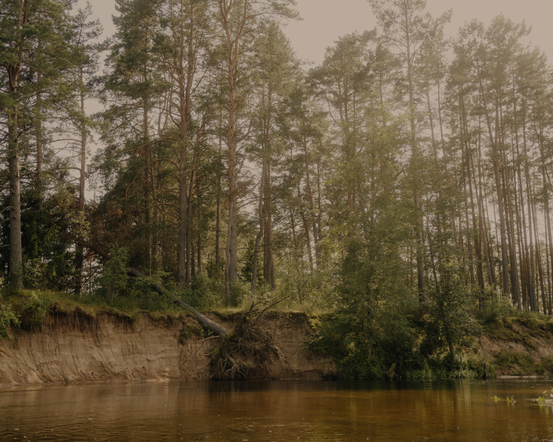 Camping in Lithuania 