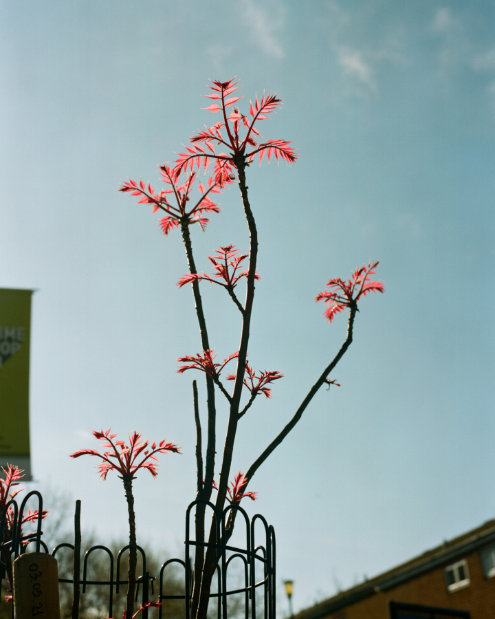 Hackney Colours 