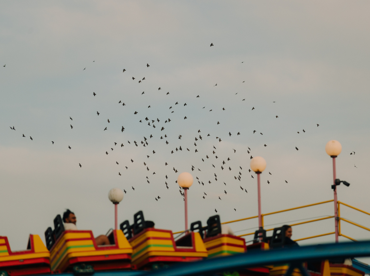 Fun Fairs 
